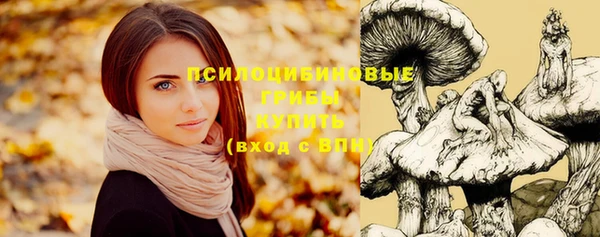 дмт Киренск