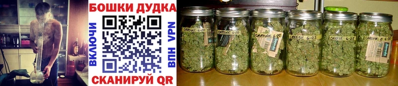 Купить  Верея  Бошки Шишки Amnesia 